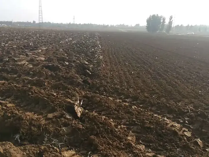Field work